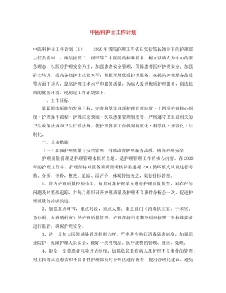 中医科护士工作计划 
