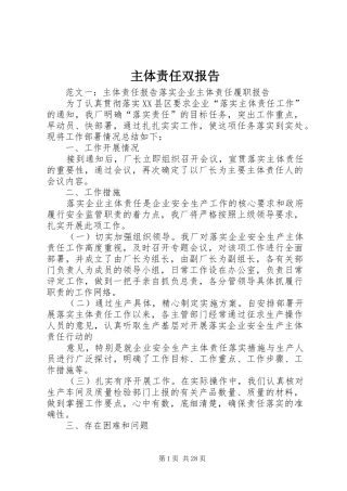 主体责任双报告