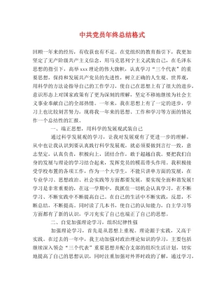 中共党员年终总结格式 