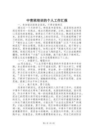 中青班培训的个人工作汇报