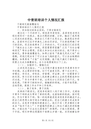 中青班培训个人情况汇报