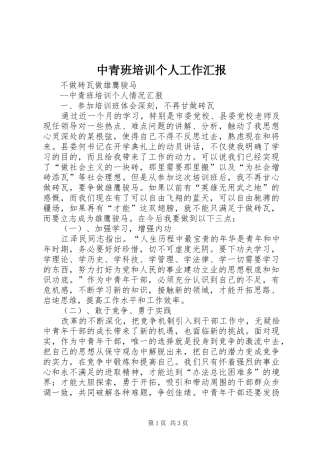 中青班培训个人工作汇报