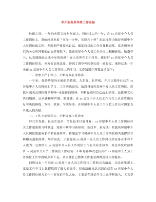 中介业务员年终工作总结 