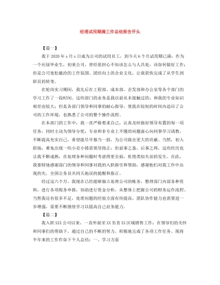 经理试用期满工作总结报告开头