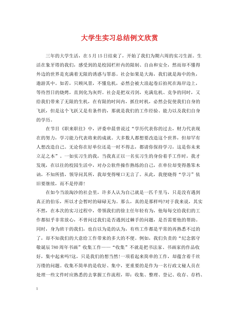 大学生实习总结例文欣赏_第1页