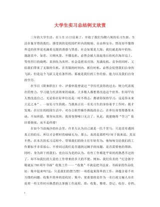 大学生实习总结例文欣赏