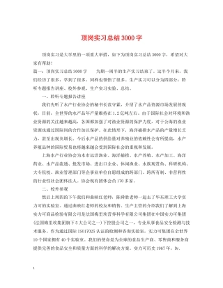 顶岗实习总结3000字