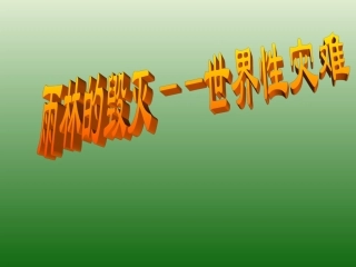 语文：518《雨林的毁灭——世界性灾难》课件（1）（语文版八年级上册）
