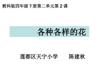 四下二2各种各样的花陈建秋