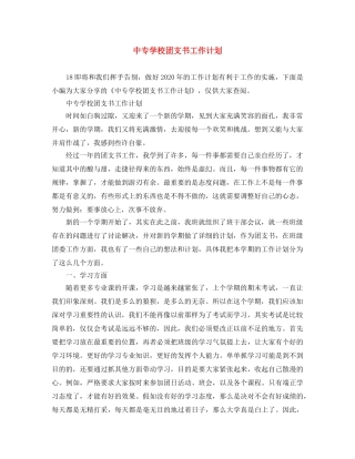 中专学校团支书工作计划 