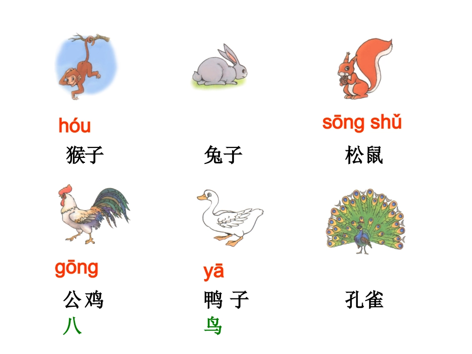 《10比尾巴》课件修改_第1页