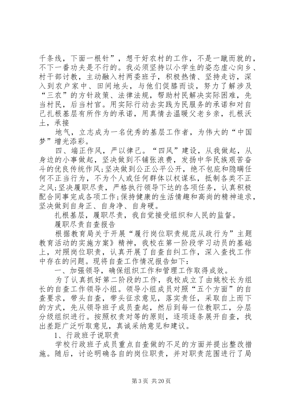 中心履职尽责问题自查报告_第3页