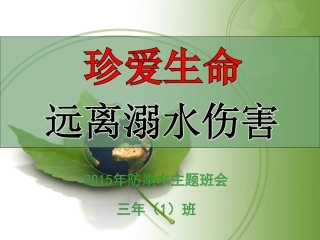 防溺水主题班会(2015)