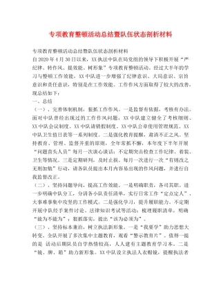 专项教育整顿活动总结暨队伍状态剖析材料 