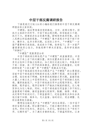 中层干部反腐调研报告