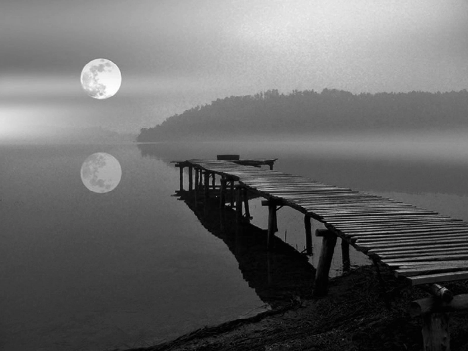 黑白撕贴画董娇_第3页