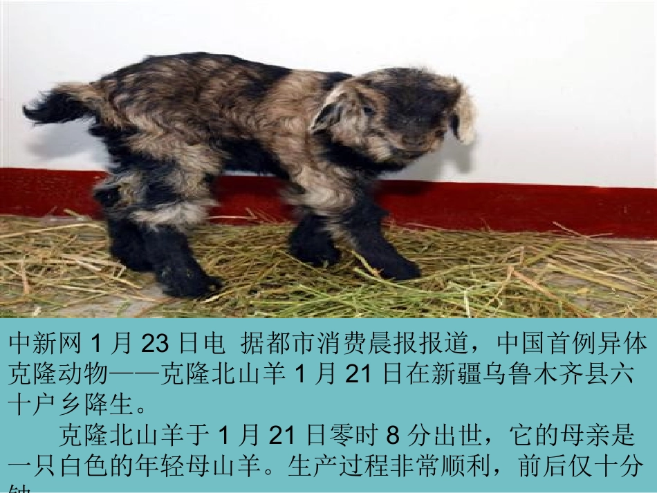 科学技术促发展_第3页