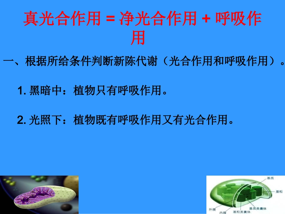 生物微课课件(真光合作用与净光合作用的辨析)_第2页