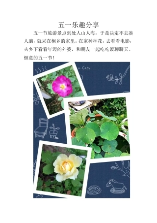 五一乐趣分享