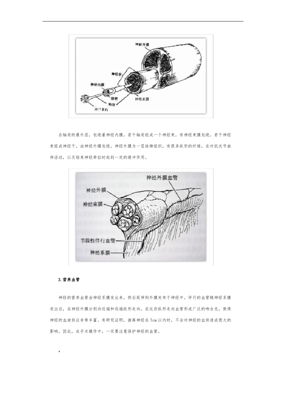 周围神经损伤及修复_第2页