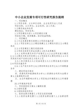 中小企业发展专项可行性研究报告提纲