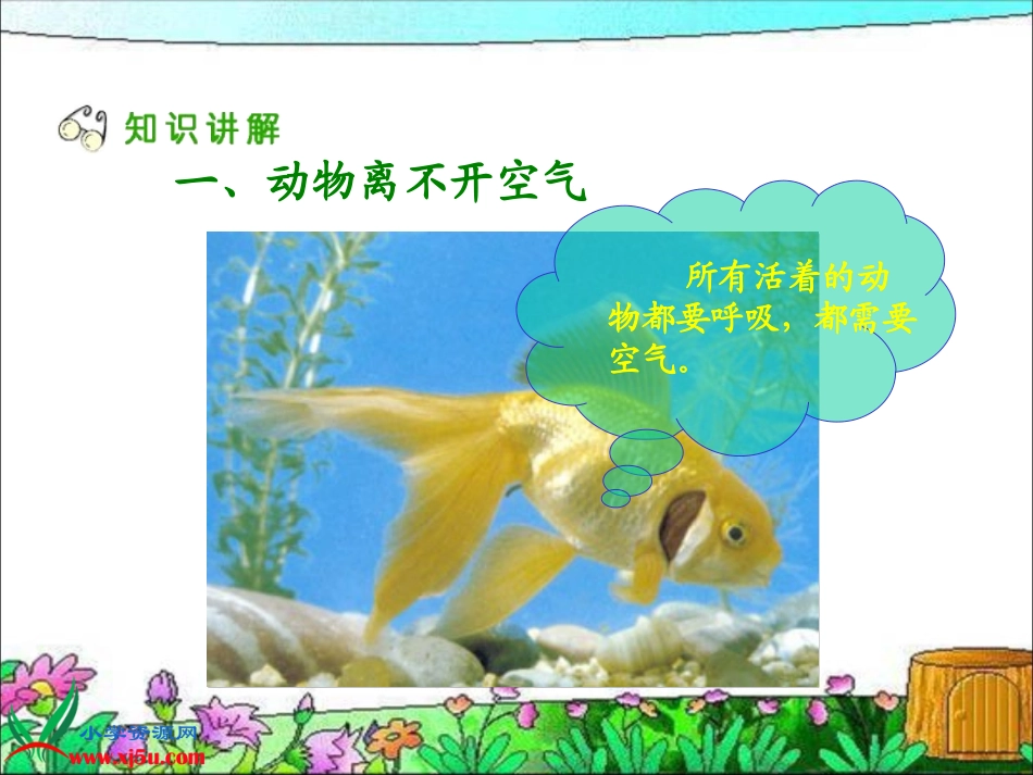 空气也是生命之源_第3页