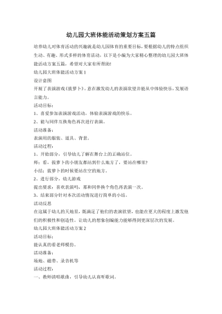 幼儿园大班体能活动策划方案五篇
