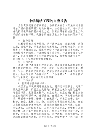 中学清洁工程的自查报告