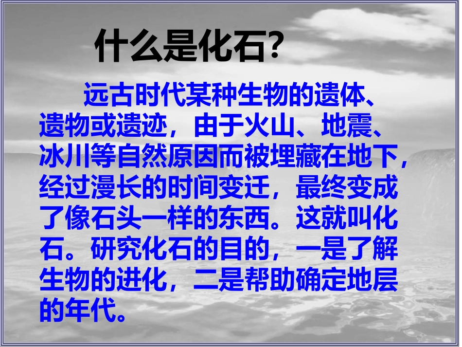 第21课《化石吟》_第3页