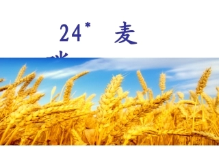 《麦哨》课件