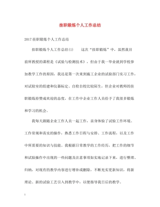 挂职锻炼个人工作总结