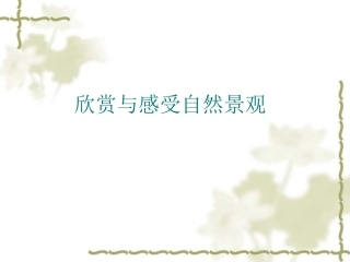 诗情画意1课件