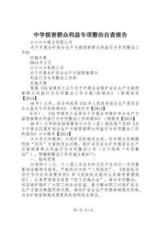 中学损害群众利益专项整治自查报告