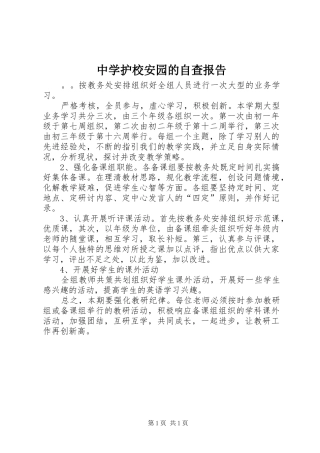 中学护校安园的自查报告