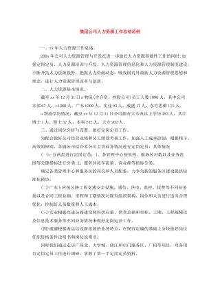 集团公司人力资源工作总结范例