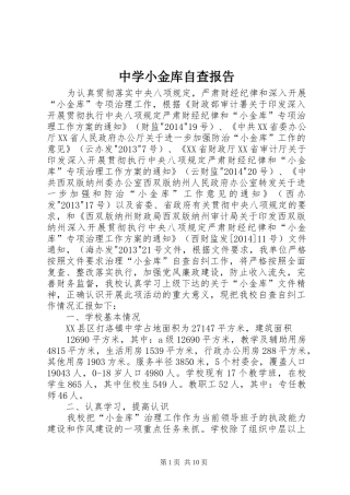 中学小金库自查报告