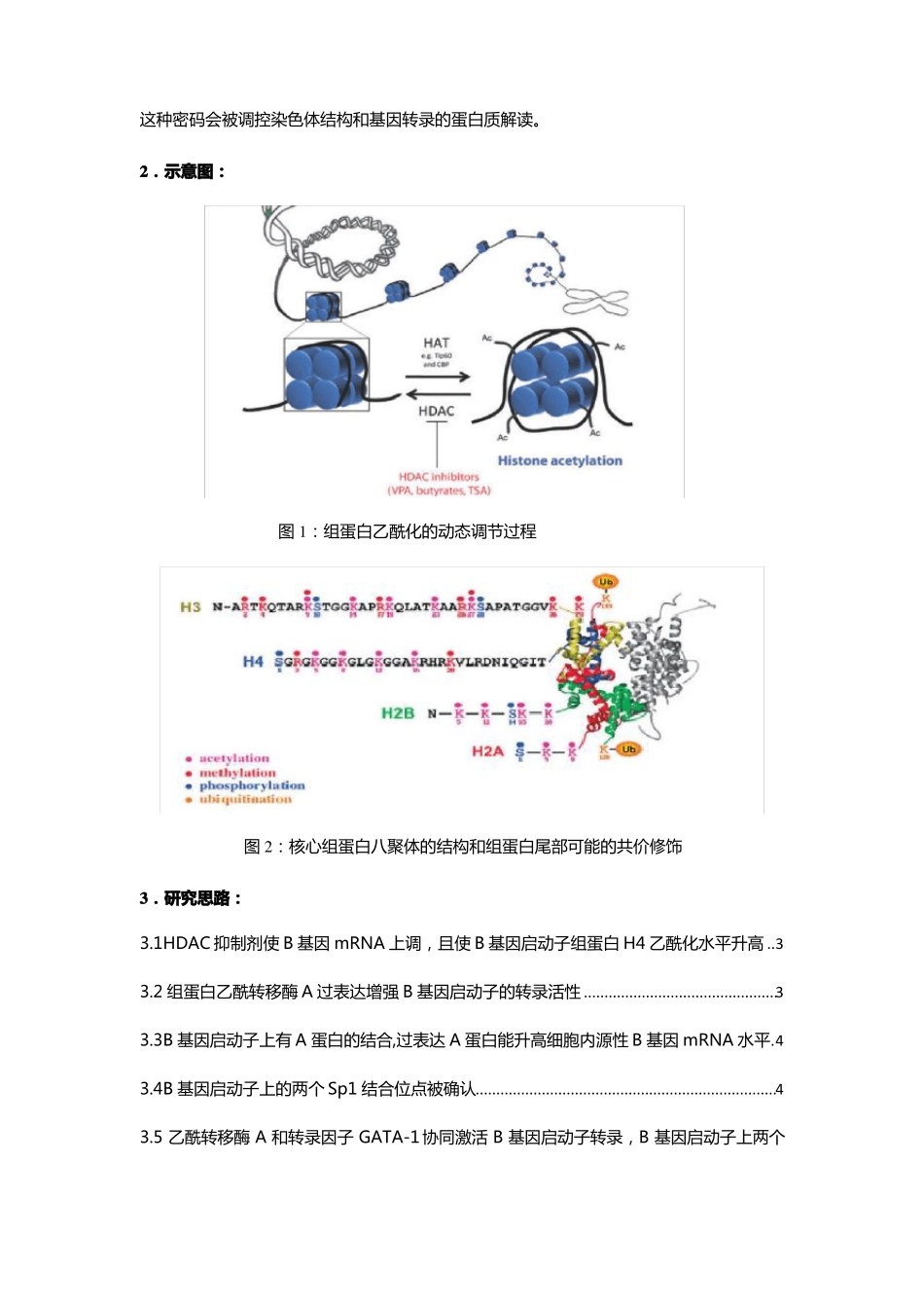 9组蛋白去乙酰化_第2页