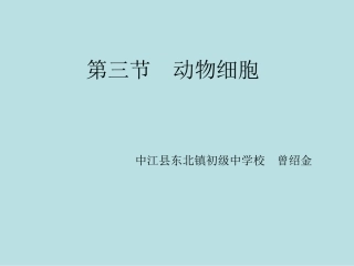 第三节　动物细胞