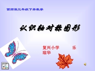 轴对称课件乐琼华