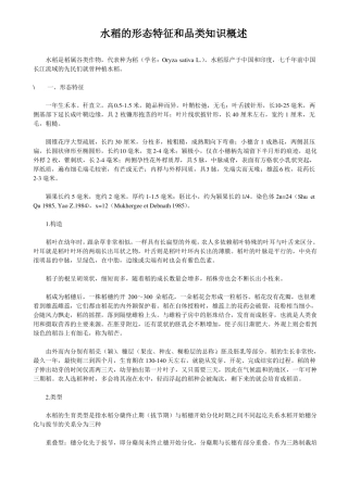 水稻的形态特征和品类知识概述
