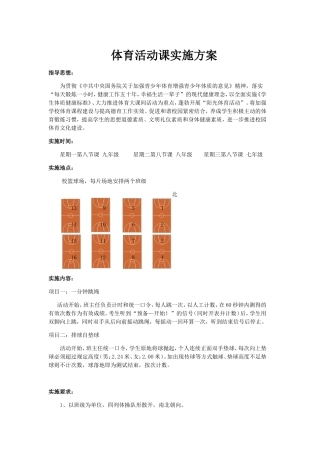 九年级体育活动课实施方案
