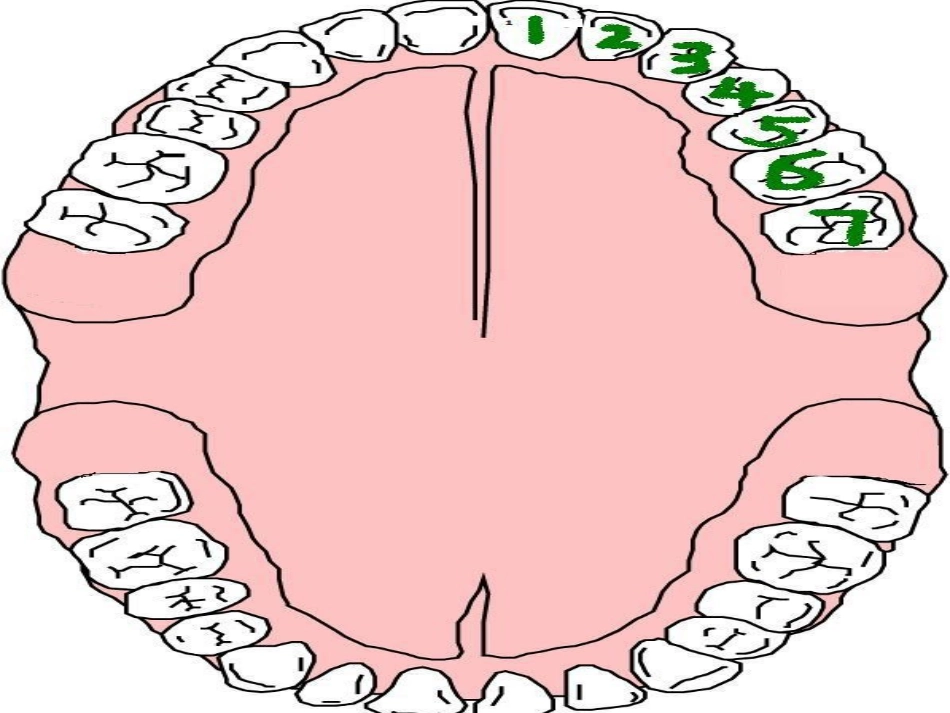 爱护牙齿 (3)_第3页