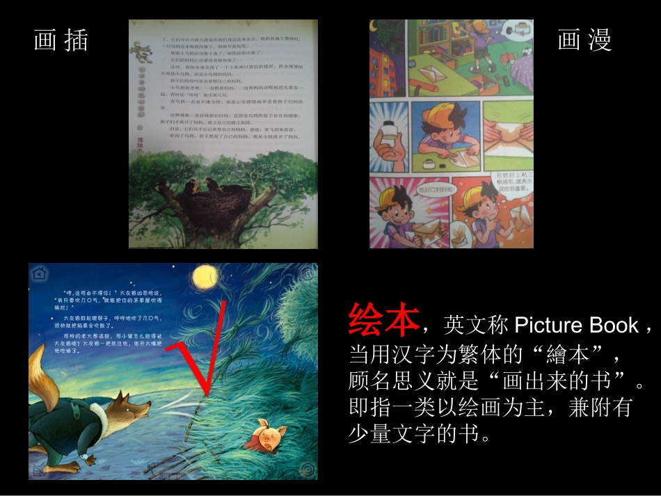 六年级美术《图画书－美丽的绘本》课件_第1页