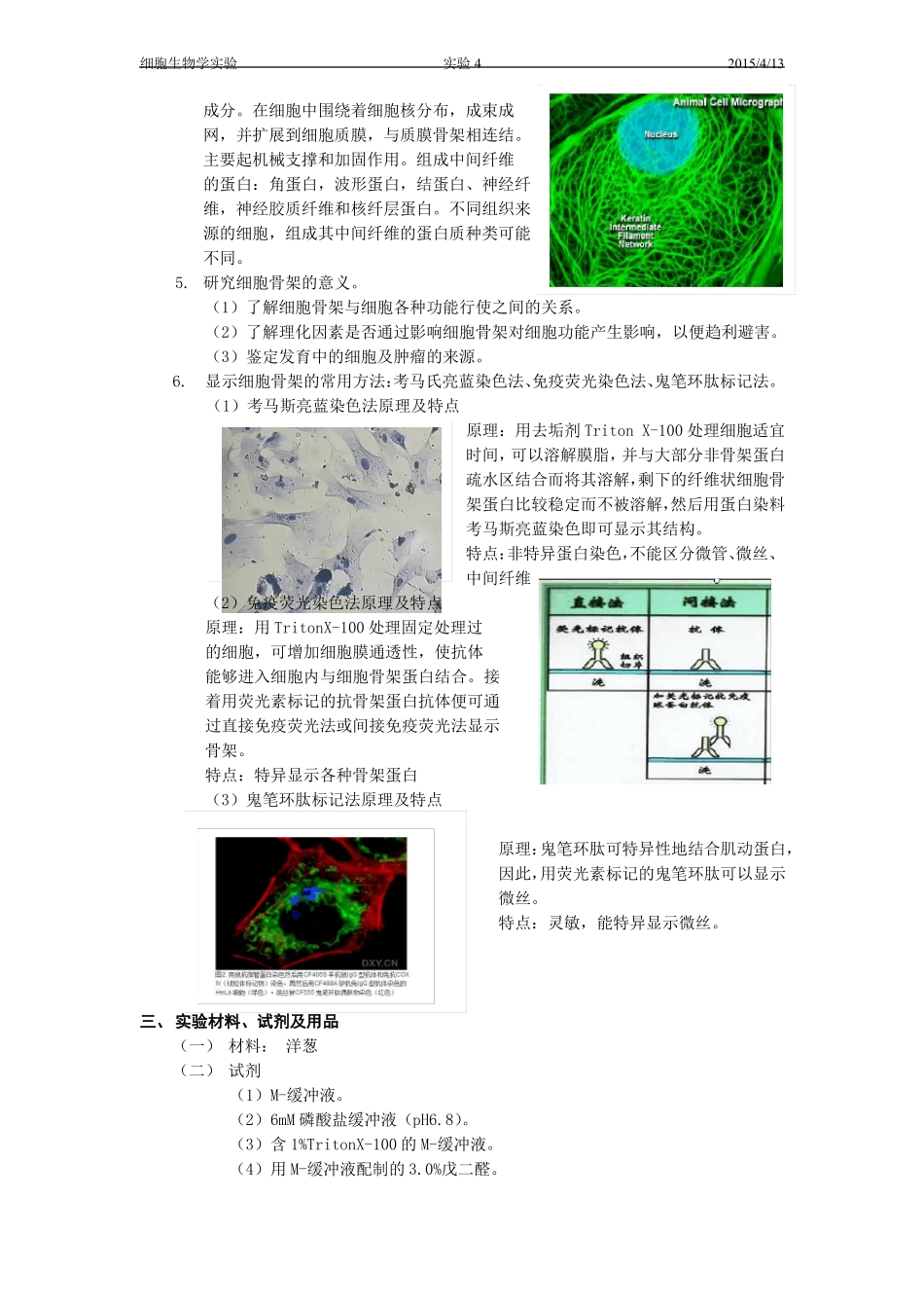 试验4细胞骨架的显示及观察_第2页