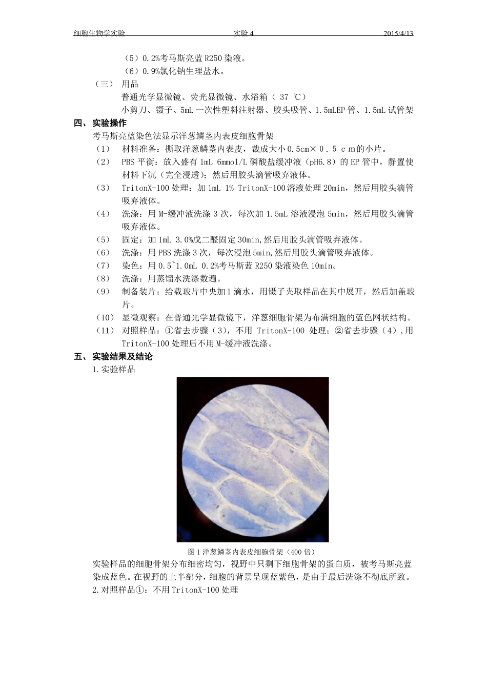试验4细胞骨架的显示及观察_第3页