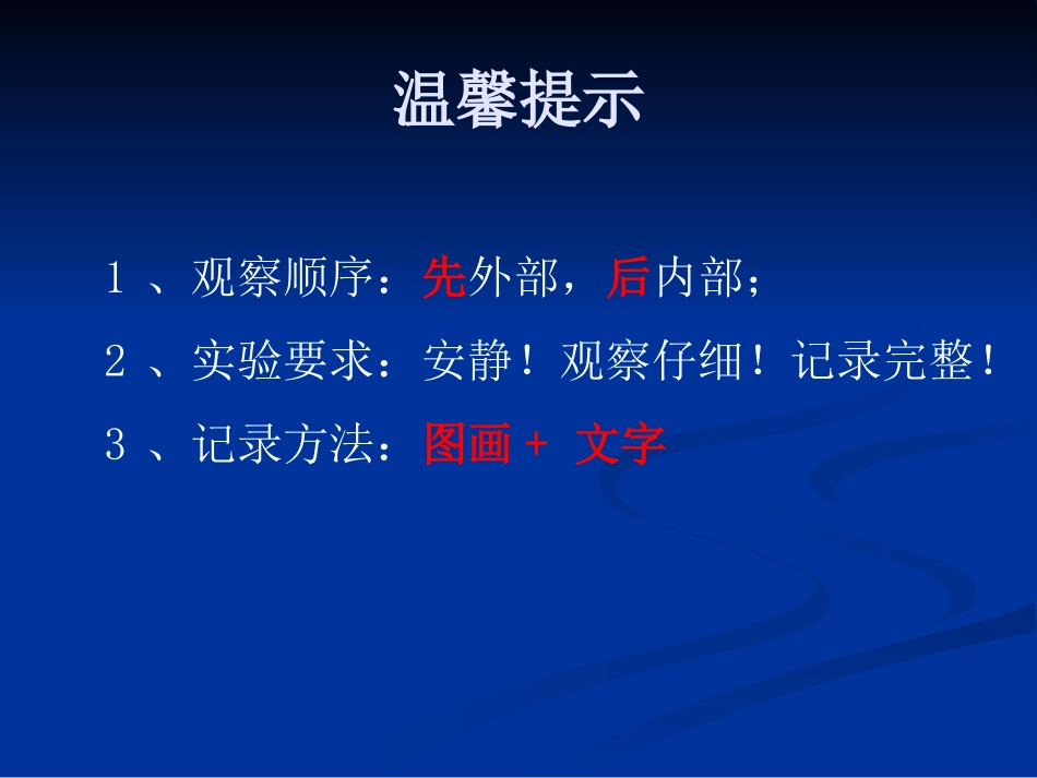 大象版四年级科学下册课《动物的卵》_第2页