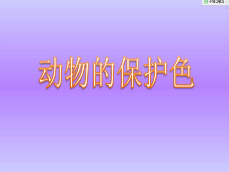动物保护色课件_第1页