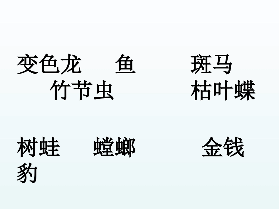 动物保护色课件_第2页