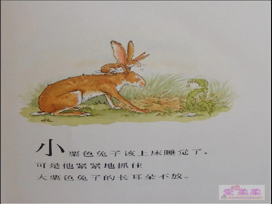 猜猜我有多爱你3_第3页