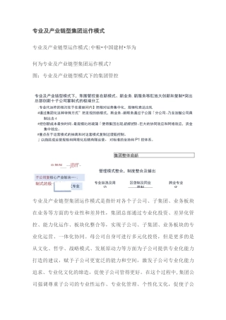 专业及产业链型集团运作模式